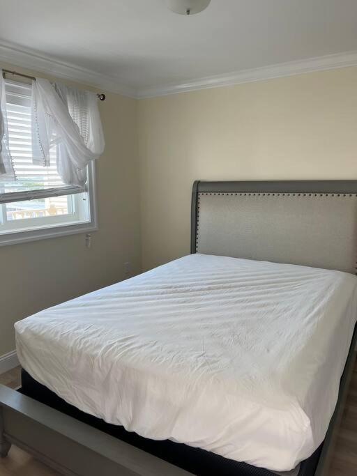 Hampton Beach Ocean Front Condo At The Surf Extérieur photo
